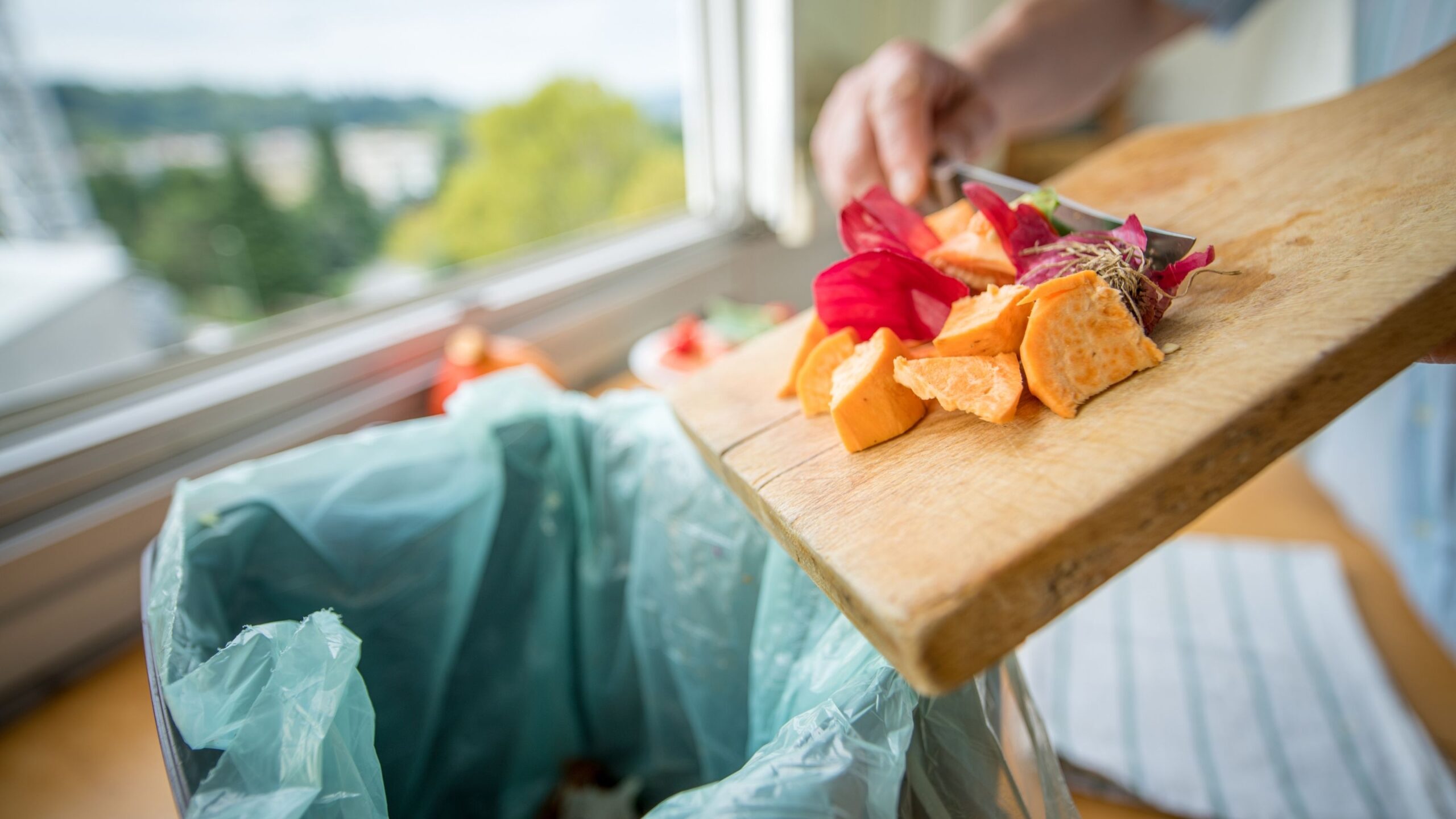 ley contra el desperdicio de alimentos