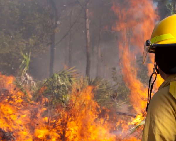incendios