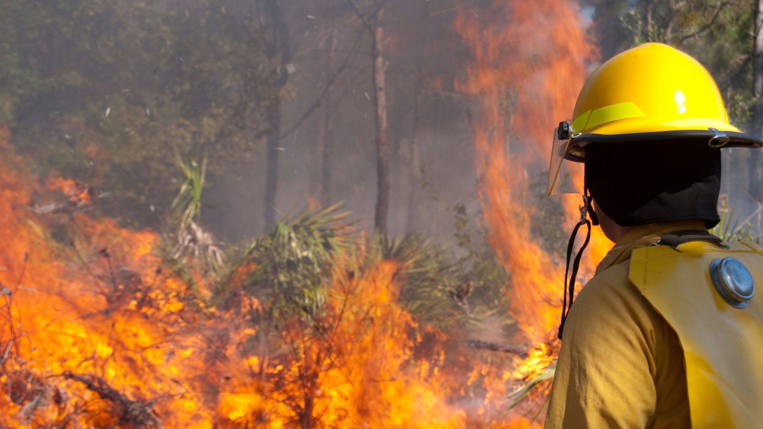 incendios